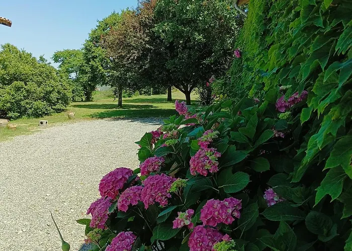 L'eden Des Pyrénées Casa vacanze *