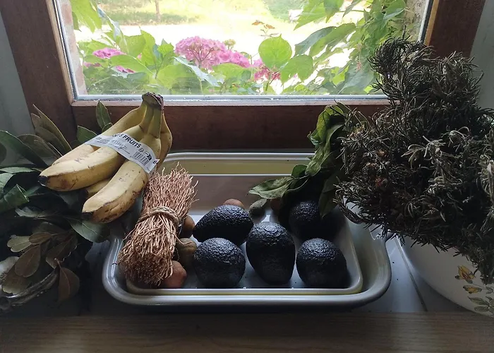 L'eden Des Pyrénées Casa vacanze