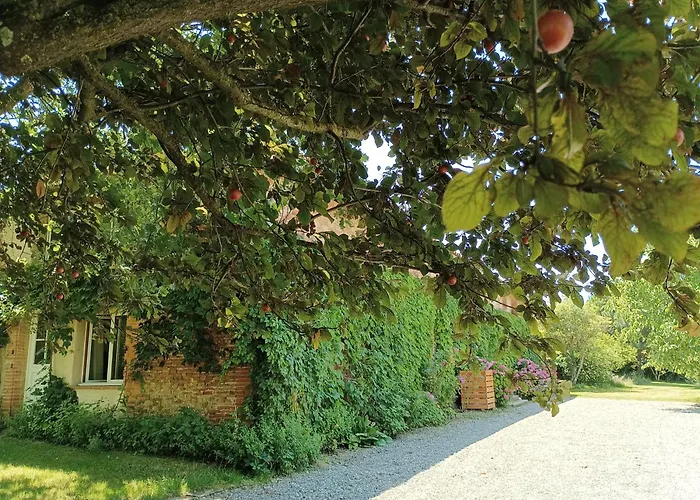 L'eden Des Pyrénées Casa vacanze *