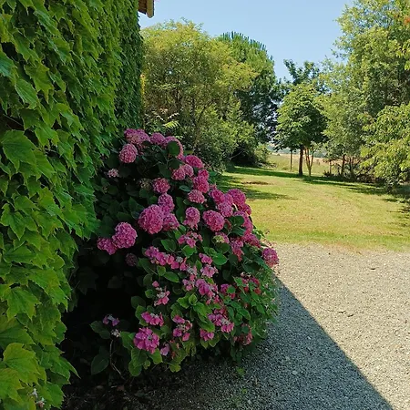 L'eden Des Pyrenees *