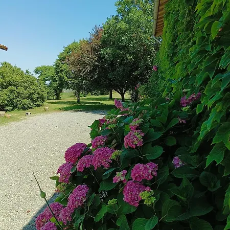 L'eden Des Pyrénées Casa vacanze *