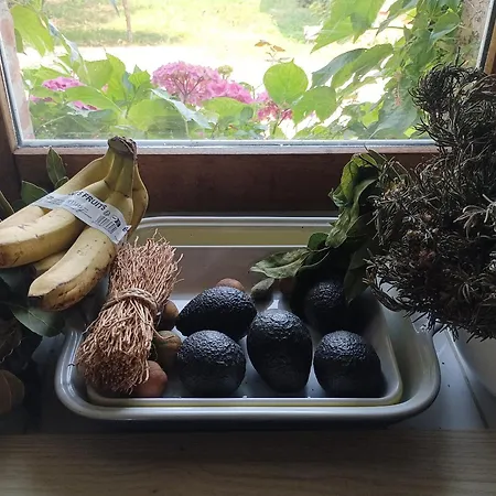 L'eden Des Pyrenees Semesterbostad